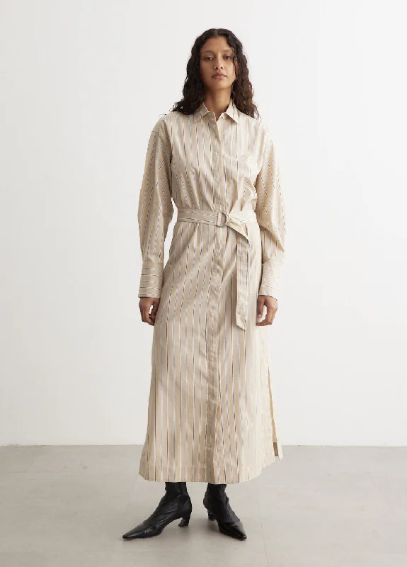 Dress for party current style -Briar Stripe Poplin Dress