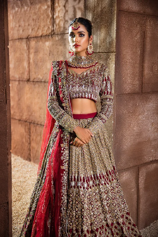 Dress for wedding special occasion memory--Bridal Red Lehnga Choli Pakistani Dress