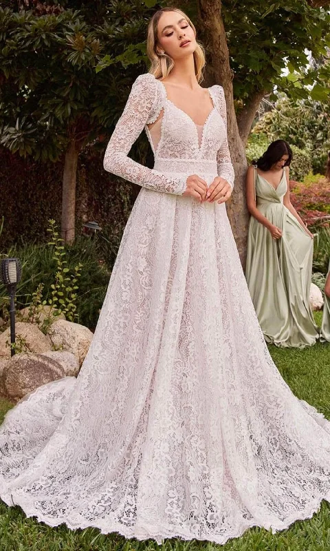 Wedding dress with embellishments design--Cinderella Divine CD862W - V-Neck Bridal Gown with Lace Details Wedding dress with embellishments design--Cinderella Divine CD862W - V-Neck Bridal Gown with Lace Details